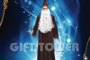 M-0116     Wizard Costume