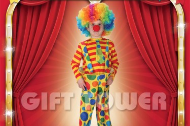B-0050     Amusing Clown B-0050     Amusing Clown