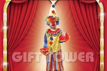 B-0082     Amusing Clown B-0082     Amusing Clown