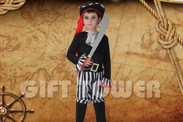 B-0080     Pirate Prince B-0080     Pirate Prince