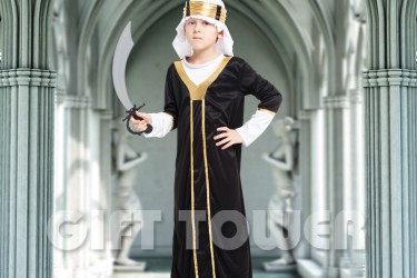 B-0104     Arabian Prince B-0104     Arabian Prince