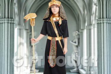 B-0106     Pharaoh B-0106     Pharaoh