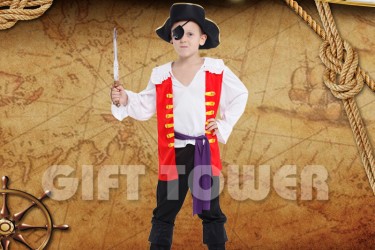 B-0110     Pirate Captain B-0110     Pirate Captain