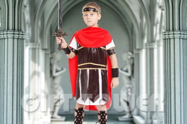 B-0113     Roman Warrior B-0113     Roman Warrior