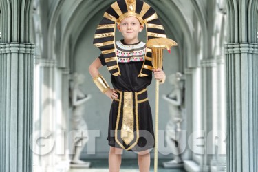 B-0116     Pharaoh Suit B-0116     Pharaoh Suit