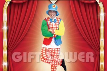 M-0015     Amusing Clown M-0015     Amusing Clown