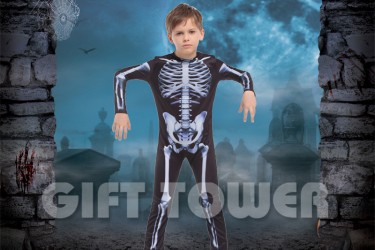 B-0126     Skeleton B-0126     Skeleton