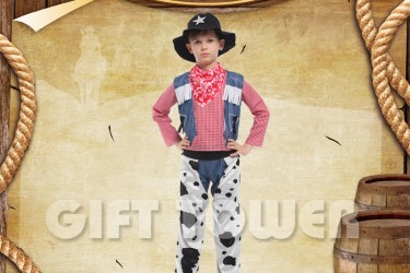 B-0135     The Western Sheriff B-0135     The Western Sheriff