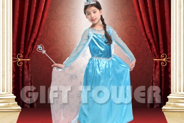 G-0221     Frosted Princess Elsa