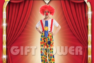 B-0132     Funny Clown B-0132     Funny Clown