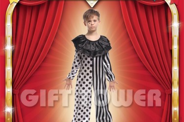 B-0146     Jester B-0146     Jester