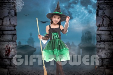 G-0195D     Lovely Organza Witch – Green