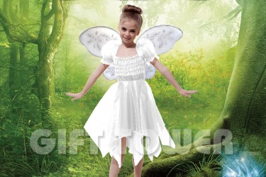 G-0144B     Snow Ballerina Fairy G-0144B     Snow Ballerina Fairy