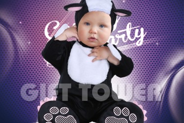T-0004     Little Skunk Baby